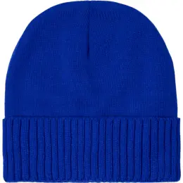 FWRD Summit Beanie Royal